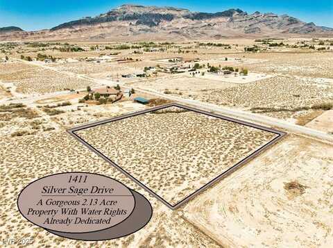 1411 Silver Sage Drive, Pahrump, NV 89060