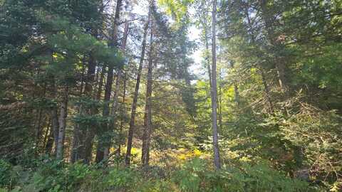 2 Lots TIMBER LODGE RD, Rhinelander, WI 54501