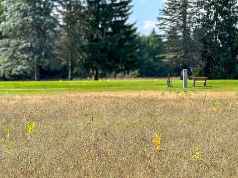 7643 Ryans Run Road, Stanwood, MI 49346