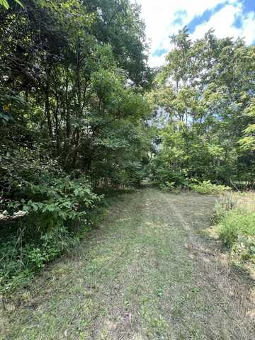 J Drive S, Homer, MI 49245