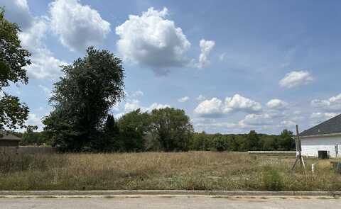 #13-5497 Anita Ave Avenue, Pleasant Hope, MO 65725