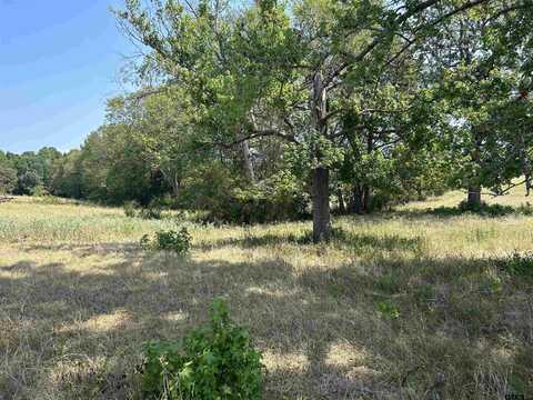 LOT 8 5.5ACRES COUNTY ROAD 2166, Troup, TX 75789