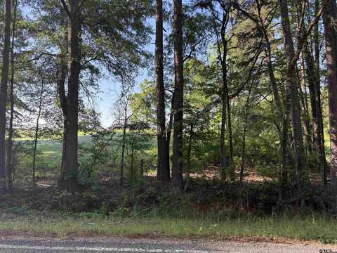 LOT 9 5+ ACRES FM 15, Troup, TX 75789