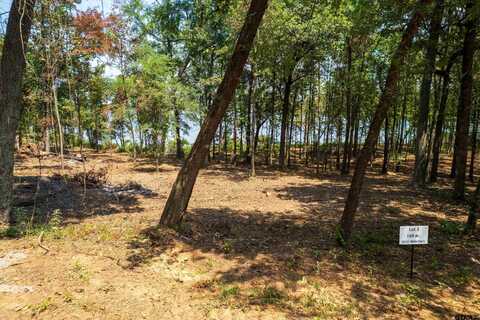 Lot 3 Big Oaks, Leesburg, TX 75451