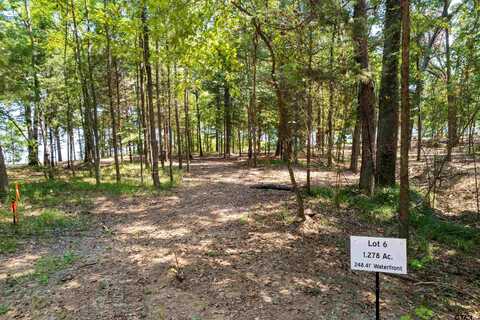 Lot 6 Big Oaks, Leesburg, TX 75451