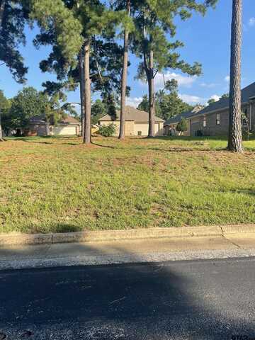 1133 Gardenwood Dr, Tyler, TX 75703
