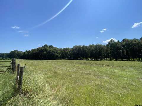 0000 County Road 4216, Jacksonville, TX 75766