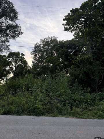 809 & 815 Boyd Ave, Tyler, TX 75701