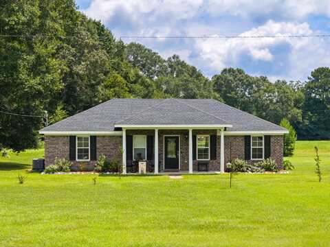 19 Chandler Loop, New Augusta, MS 39462