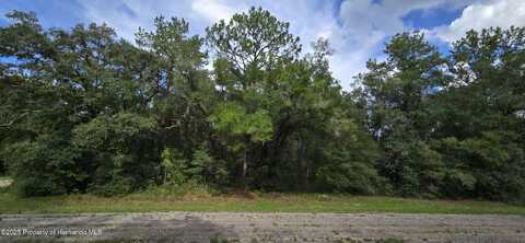 9427 N Lampson Terrace, Citrus Springs, FL 34434