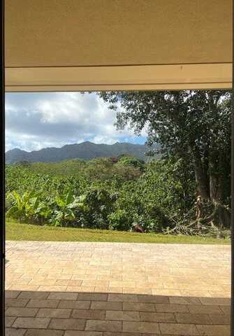 2110 KANEKA ST unit: #49, Lihue, HI 96766