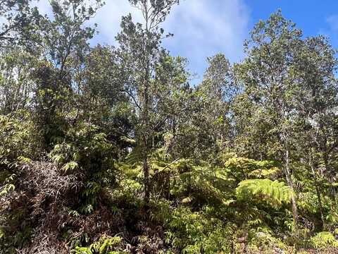 ALA OHIA ST, Volcano, HI 96785
