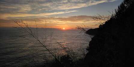 35-1714 HAWAII BELT RD, Laupahoehoe, HI 96764