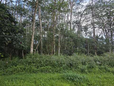 LEHUA CIRCLE, Pahoa, HI 96778