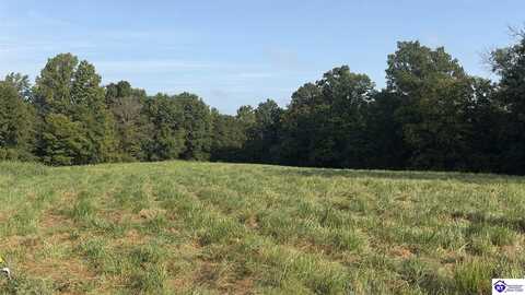 432 Ponderosa Road, Clarkson, KY 42726