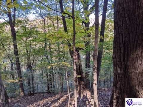 4800 Blevins Gap Road, Louisville, KY 40272