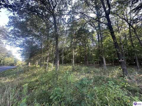 13600 Grayson Springs Road, Clarkson, KY 42726