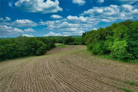 Brown Road, Rushville, MO 64098