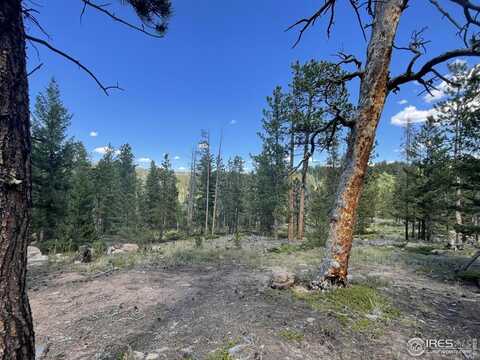 34 Shawnee Rd, Red Feather Lakes, CO 80545