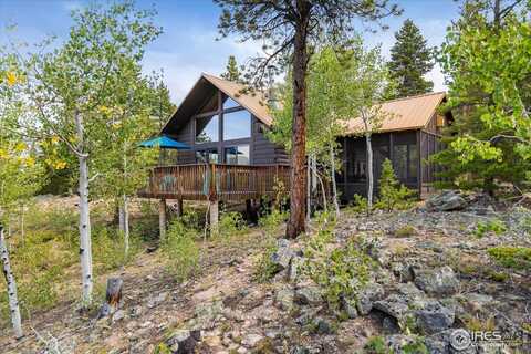 452 Pine Cone Dr, Ward, CO 80481