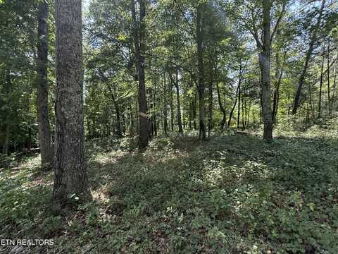 140 Padstow Lane, Lenoir City, TN 37772