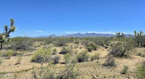 287 S Diamondback Rd, Yucca, AZ 86438