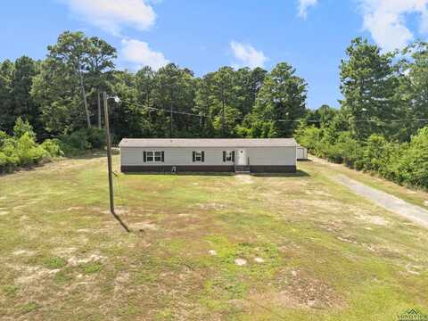 451 Peppermint Lane, Waskom, TX 75692