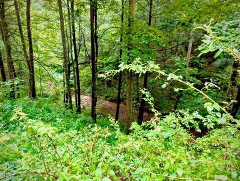 29 Paradise Drive, Rogers, KY 41365