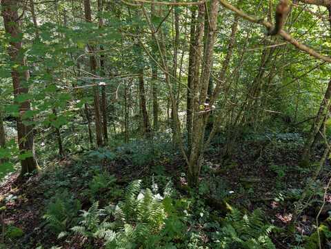 00 Paradise Drive, Rogers, KY 41365