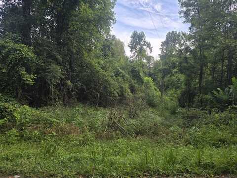Lot #6 Bellwood, Middlesboro, KY 40965