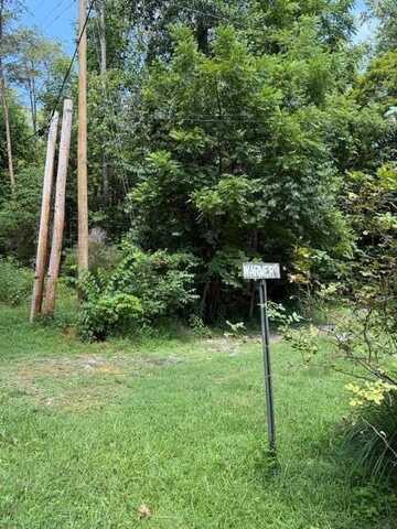 35-36 Bird Lane, Burnside, KY 42519