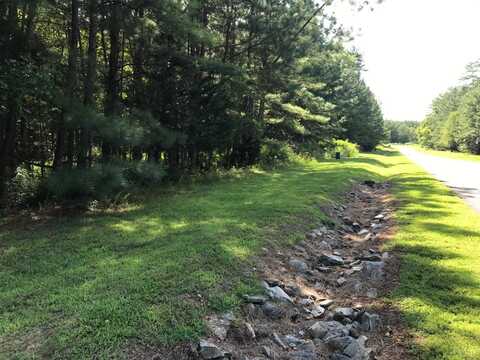 0-Lot 177 Hidden Cove Lane, Lynch Station, VA 24571