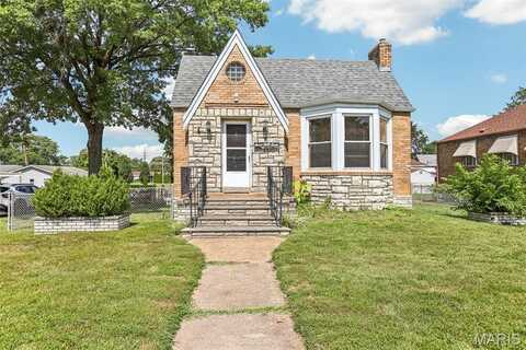 737 Dallas Drive, Saint Louis, MO 63125