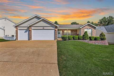 8121 Pheasant Drive, Barnhart, MO 63012