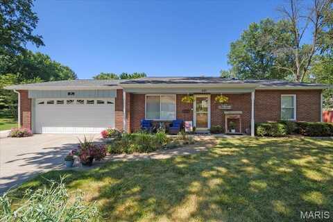 641 S Virginia Avenue, Belleville, IL 62220
