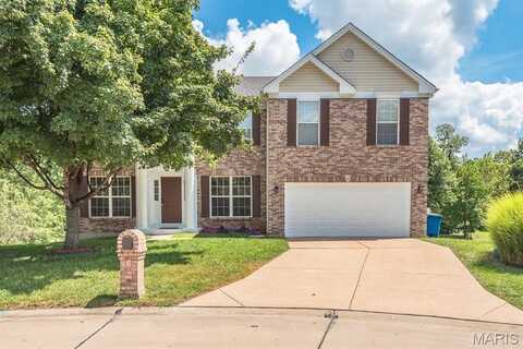 2 Birchwood Lane Court, Maryland Heights, MO 63043
