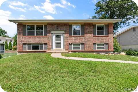 1027 Villaview Drive, Manchester, MO 63021