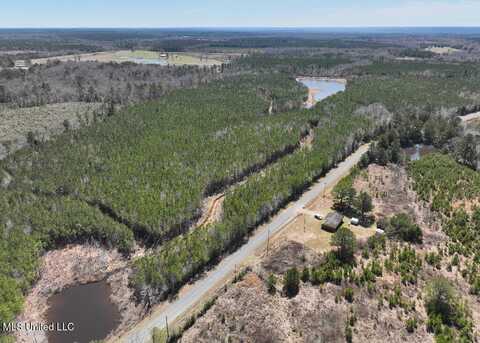 7 E Of Quit-Desoto Road, Shubuta, MS 39360