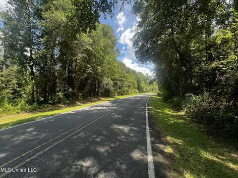 7 Ac+- Lamar Street, Lucedale, MS 39452