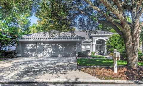17818 HICKORY MOSS PLACE, TAMPA, FL 33647