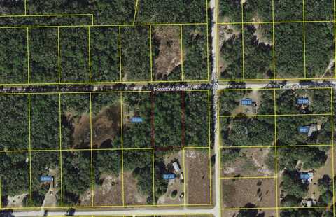 33104 FACULTY STREET, WEBSTER, FL 33597