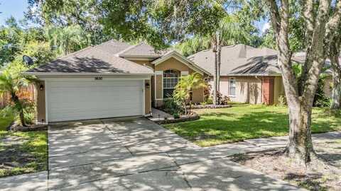 5650 PADDOCK TRAIL DRIVE, TAMPA, FL 33624