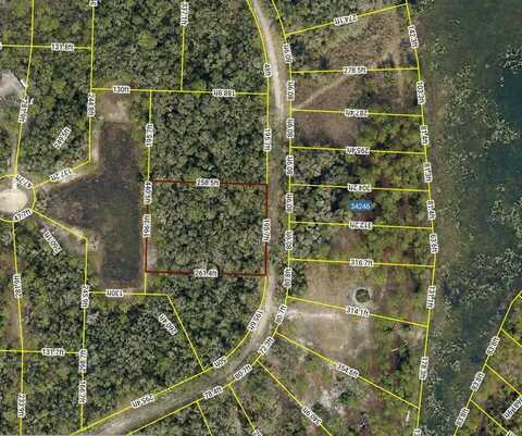 34245 BERRYHILL DRIVE, WEBSTER, FL 33597