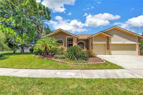 11209 BLOOMINGTON DRIVE, TAMPA, FL 33635