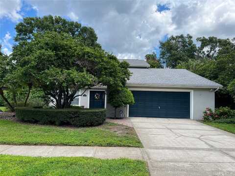 13817 CYPRESS VILLAGE CIRCLE, TAMPA, FL 33618