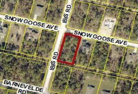 15282 IBIS ROAD, BROOKSVILLE, FL 34614
