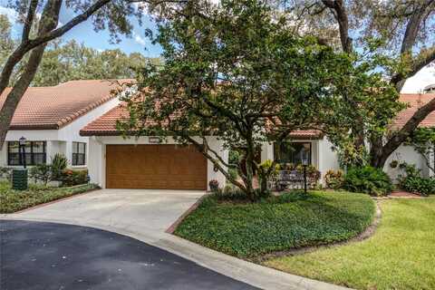 11507 CERCA DEL RIO PLACE, TEMPLE TERRACE, FL 33617