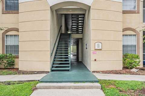 17101 CARRINGTON PARK DRIVE, TAMPA, FL 33647
