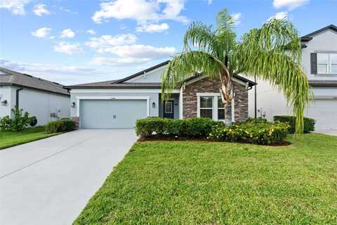 11448 ALACHUA CREEK LANE, RIVERVIEW, FL 33579