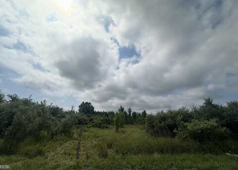 0 Petz, Capac, MI 48014